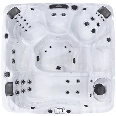 Avalon-X EC-840LX hot tubs for sale in Palm Bay