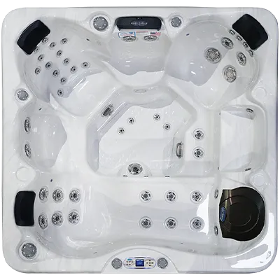 Avalon EC-849L hot tubs for sale in Palm Bay