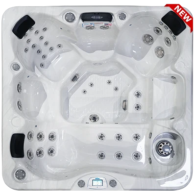 Avalon-X EC-849LX hot tubs for sale in Palm Bay