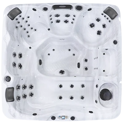 Avalon EC-867L hot tubs for sale in Palm Bay